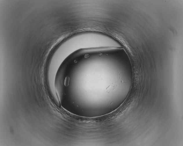 X0000110880395200907021501