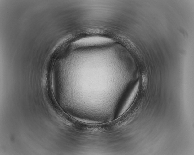 X0000110880396200907021501