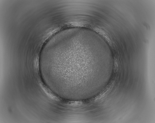 X0000110880398200907021501
