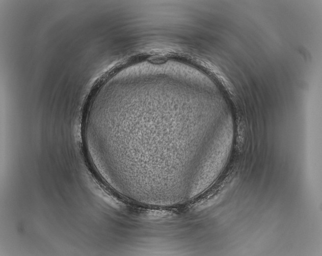 X0000110880399200907021501