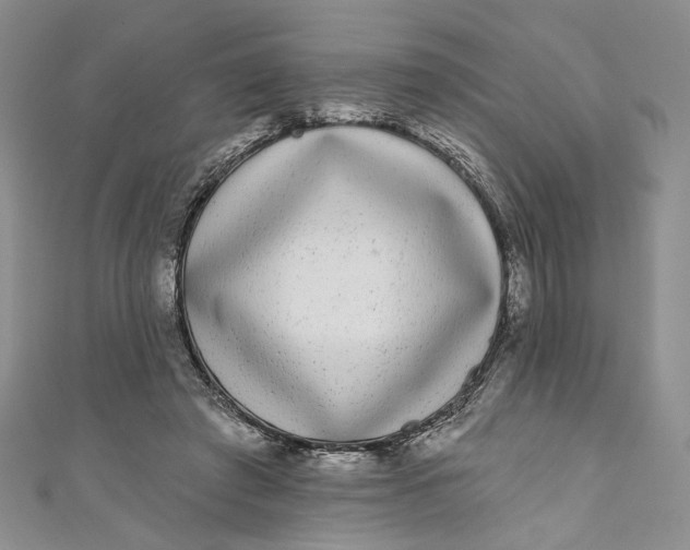X0000110880401200907021501