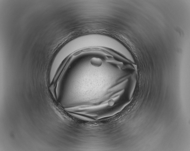 X0000110880405200907021501