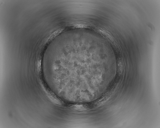 X0000110880406200907021501