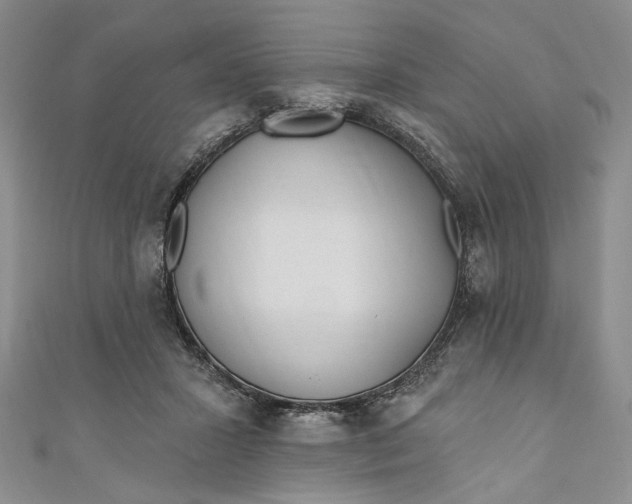 X0000110880407200907021501