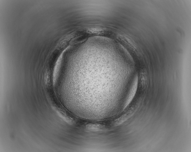 X0000110880408200907021501