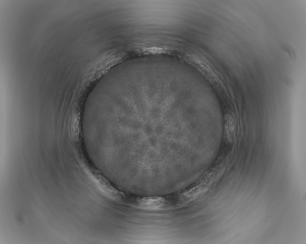 X0000110880410200907021501