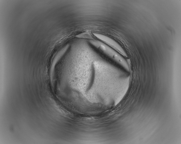 X0000110880411200907021501
