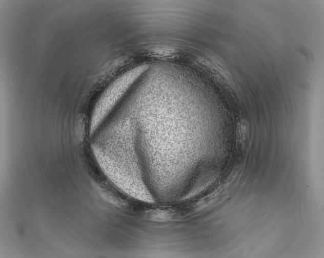 X0000110880412200907021501