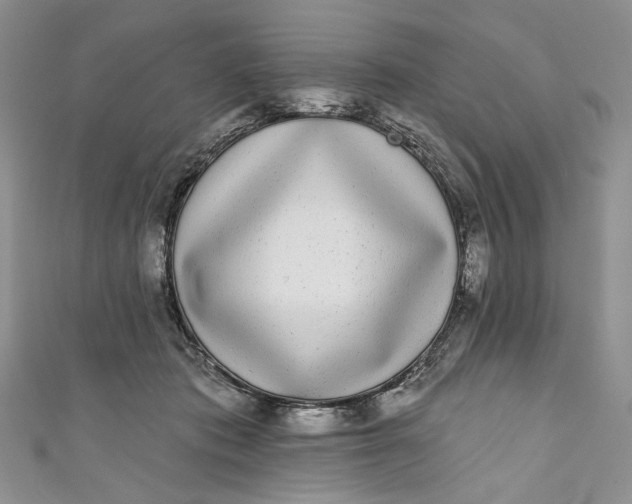 X0000110880413200907021501