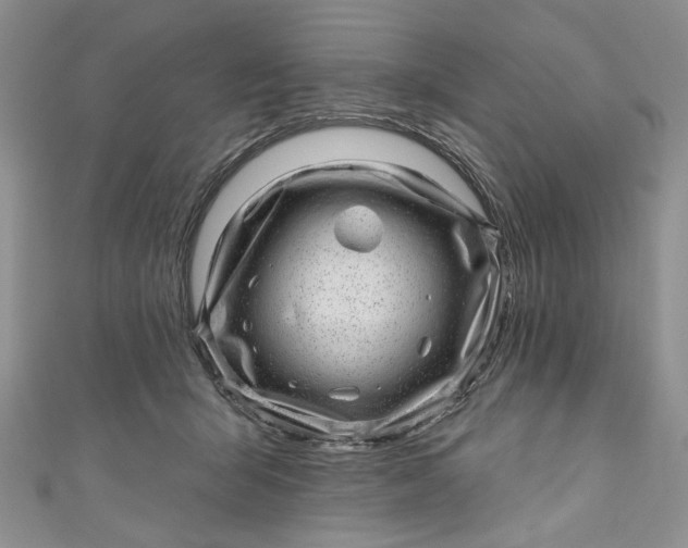 X0000110880415200907021501