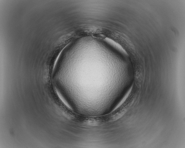 X0000110880416200907021501