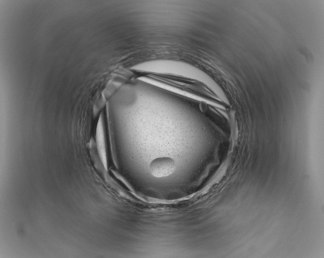 X0000110880417200907021501
