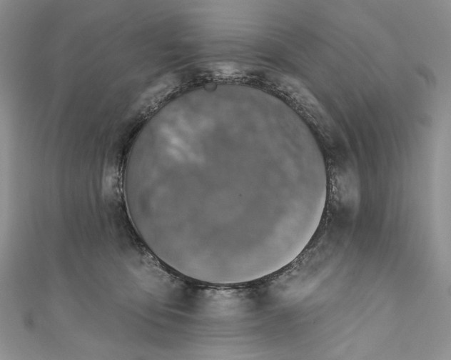 X0000110880419200907021501
