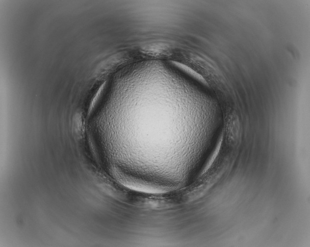 X0000110880420200907021501
