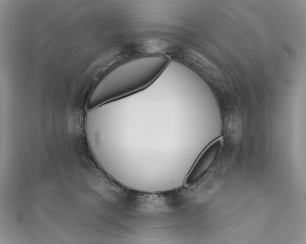 X0000110880421200907021501