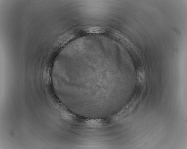 X0000110880422200907021501