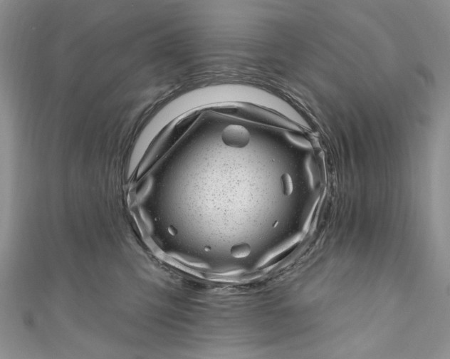X0000110880423200907021501