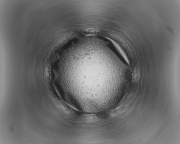 X0000110880424200907021501