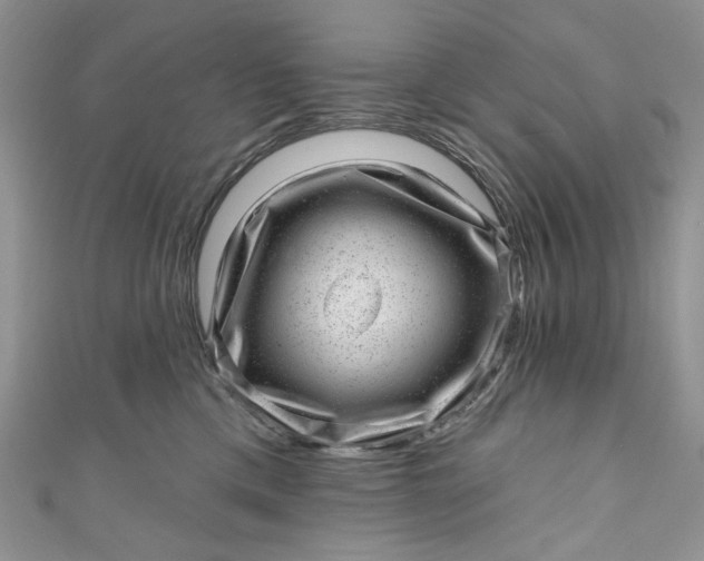 X0000110880425200907021501
