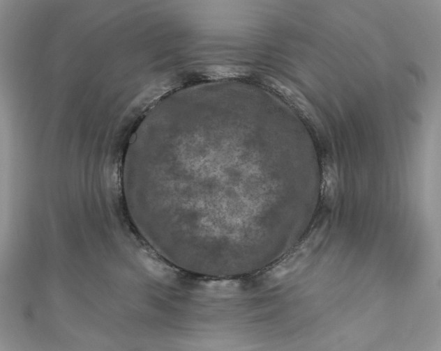 X0000110880426200907021501