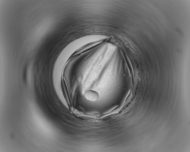 X0000110880429200907021501