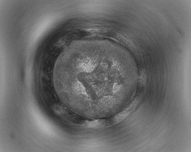 X0000110880430200907021501