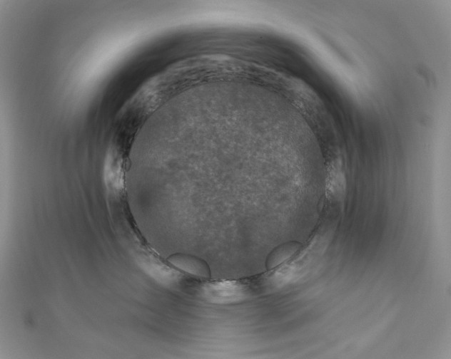 X0000110880431200907021501