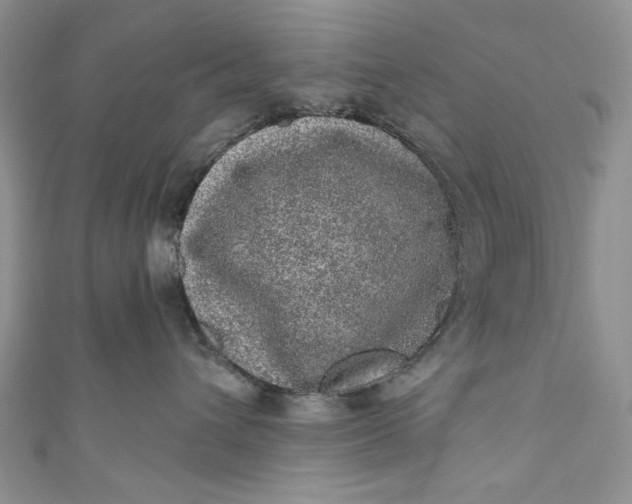 X0000110880432200907021501