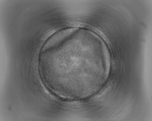 X0000110880433200907021500
