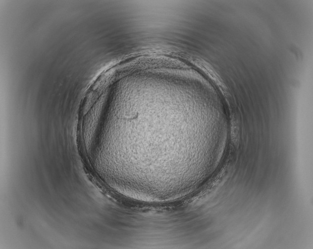 X0000110880434200907021500