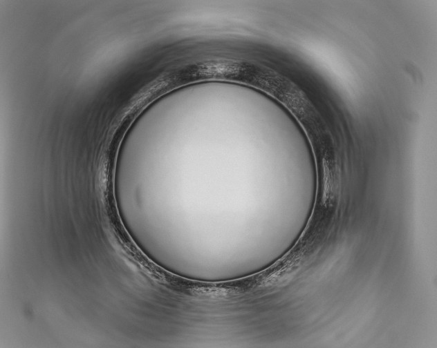X0000110880435200907021500