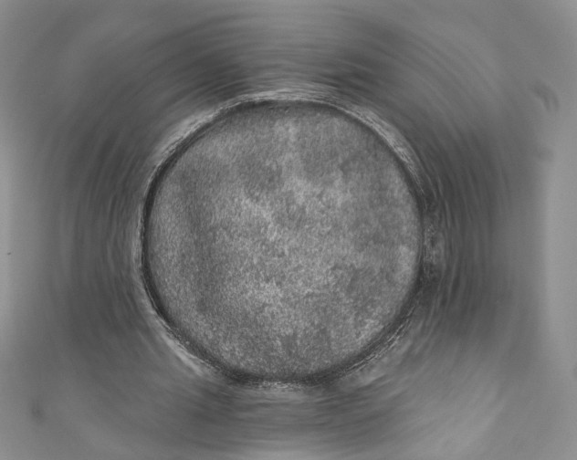 X0000110880437200907021500