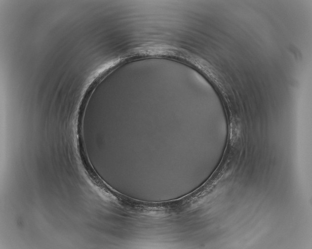 X0000110880438200907021500