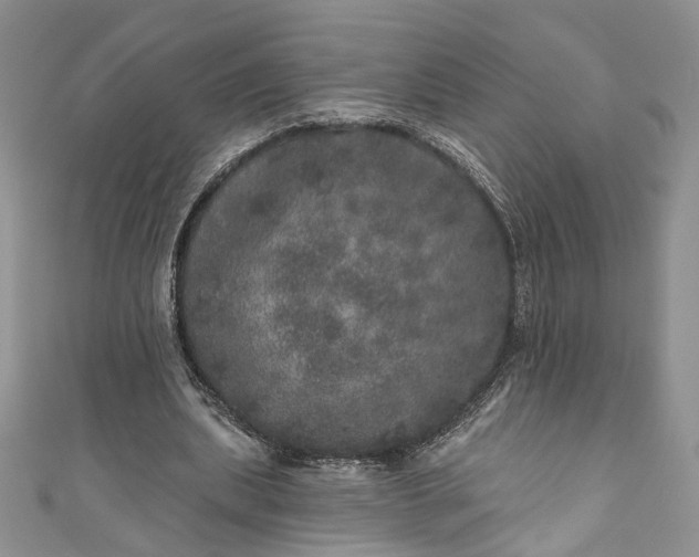 X0000110880439200907021500
