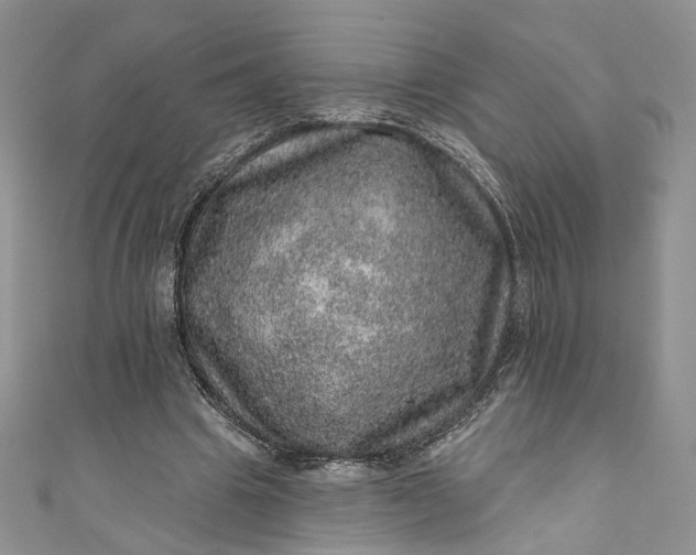 X0000110880441200907021500