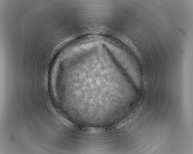 X0000110880442200907021500