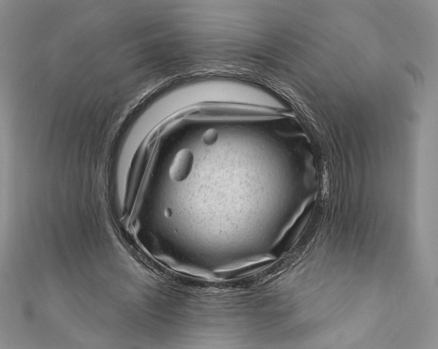 X0000110880444200907021500