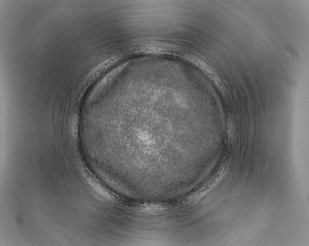 X0000110880445200907021500