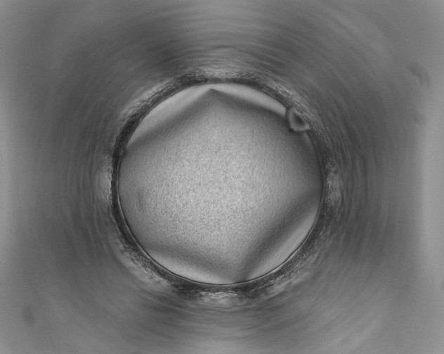 X0000110880446200907021500