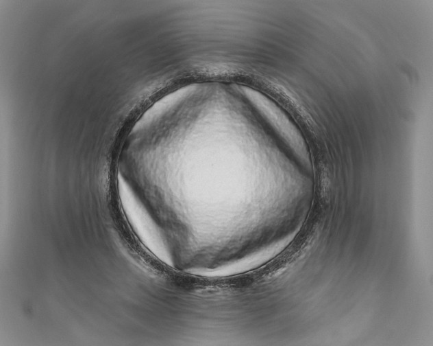 X0000110880447200907021500
