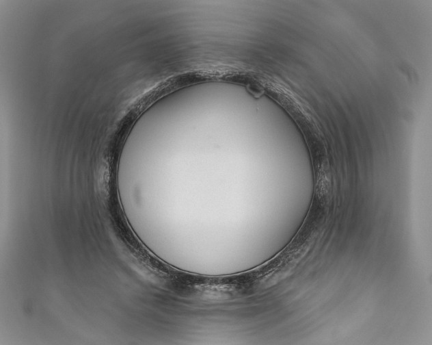 X0000110880448200907021500