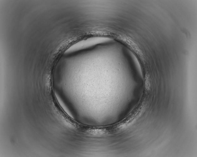 X0000110880449200907021500