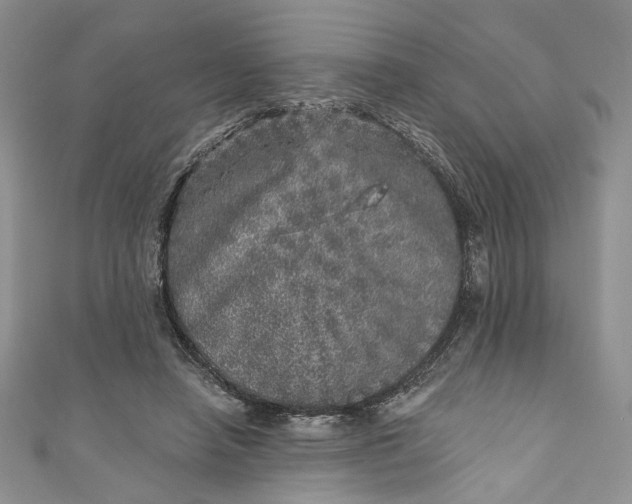 X0000110880450200907021500