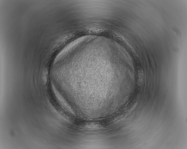 X0000110880451200907021500