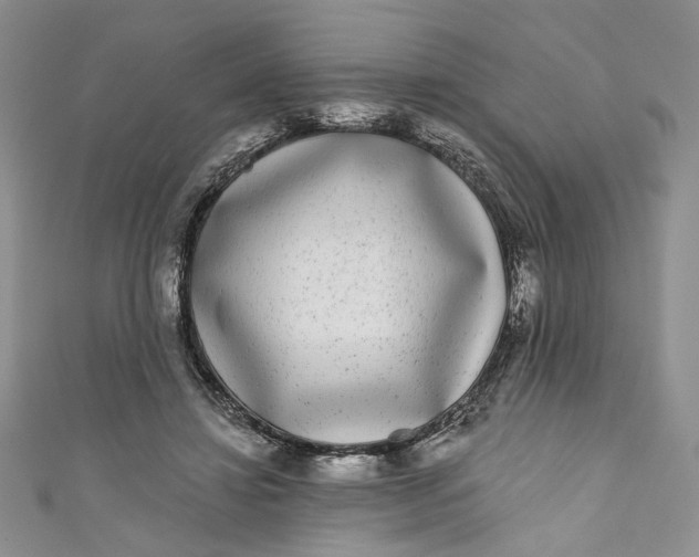 X0000110880452200907021500