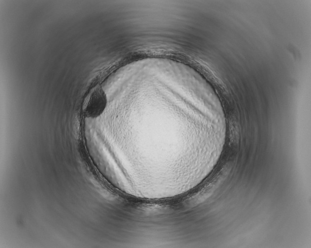 X0000110880453200907021500