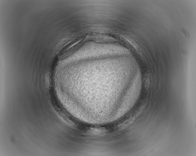 X0000110880455200907021500