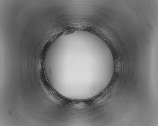 X0000110880456200907021500