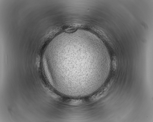 X0000110880458200907021500