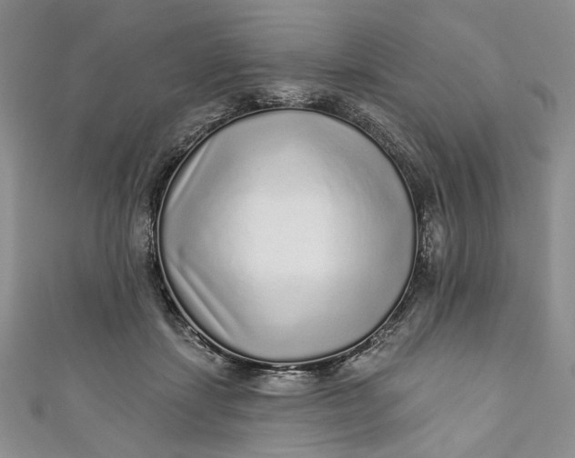 X0000110880459200907021500